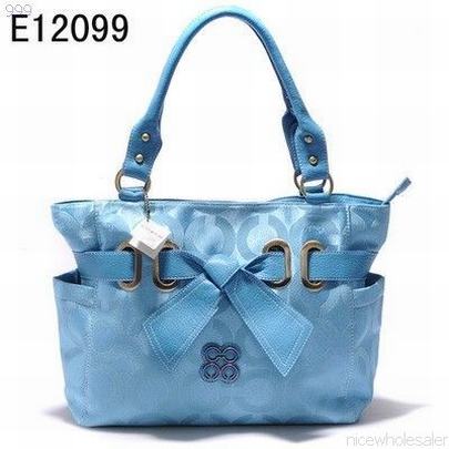 Coach handbags127